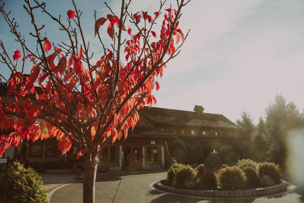 Bajka Hotel & Resort Grodziec Екстер'єр фото